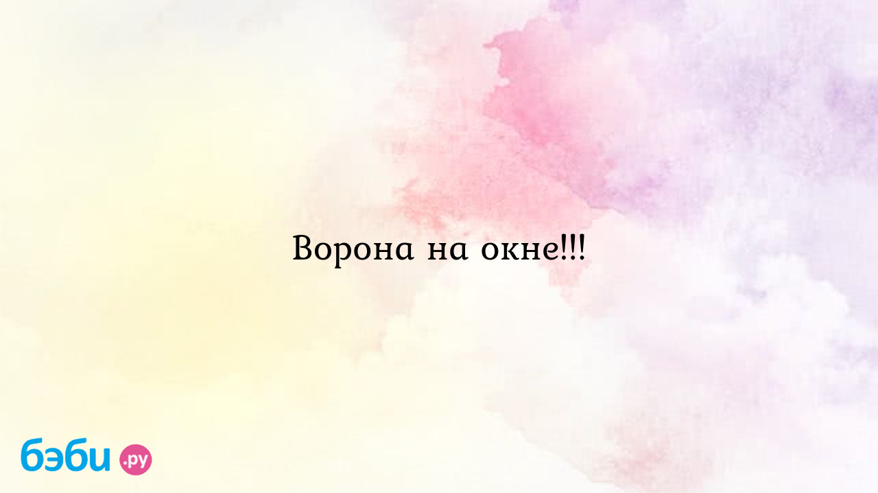 Ворона на окне!!!, если ворона в окно стучится | Метки: стучать, примета,  что, ворон, что