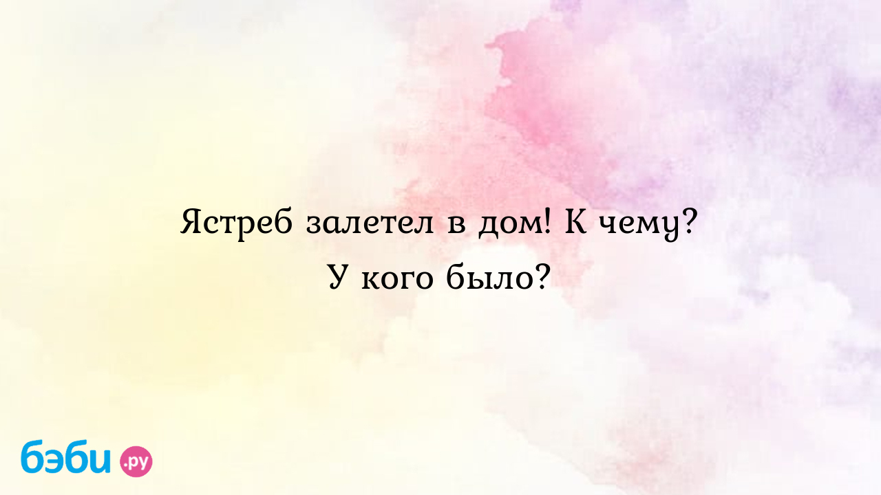 Ястреб залетел в дом! К чему? У кого было? - Телефон доверия