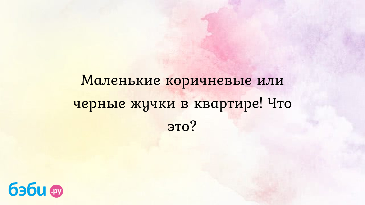 Маленькие коричневые или черные жучки в квартире. Что это. маленькие жучки  в квартире | Метки: фото, название, дома, заводиться, избавляться