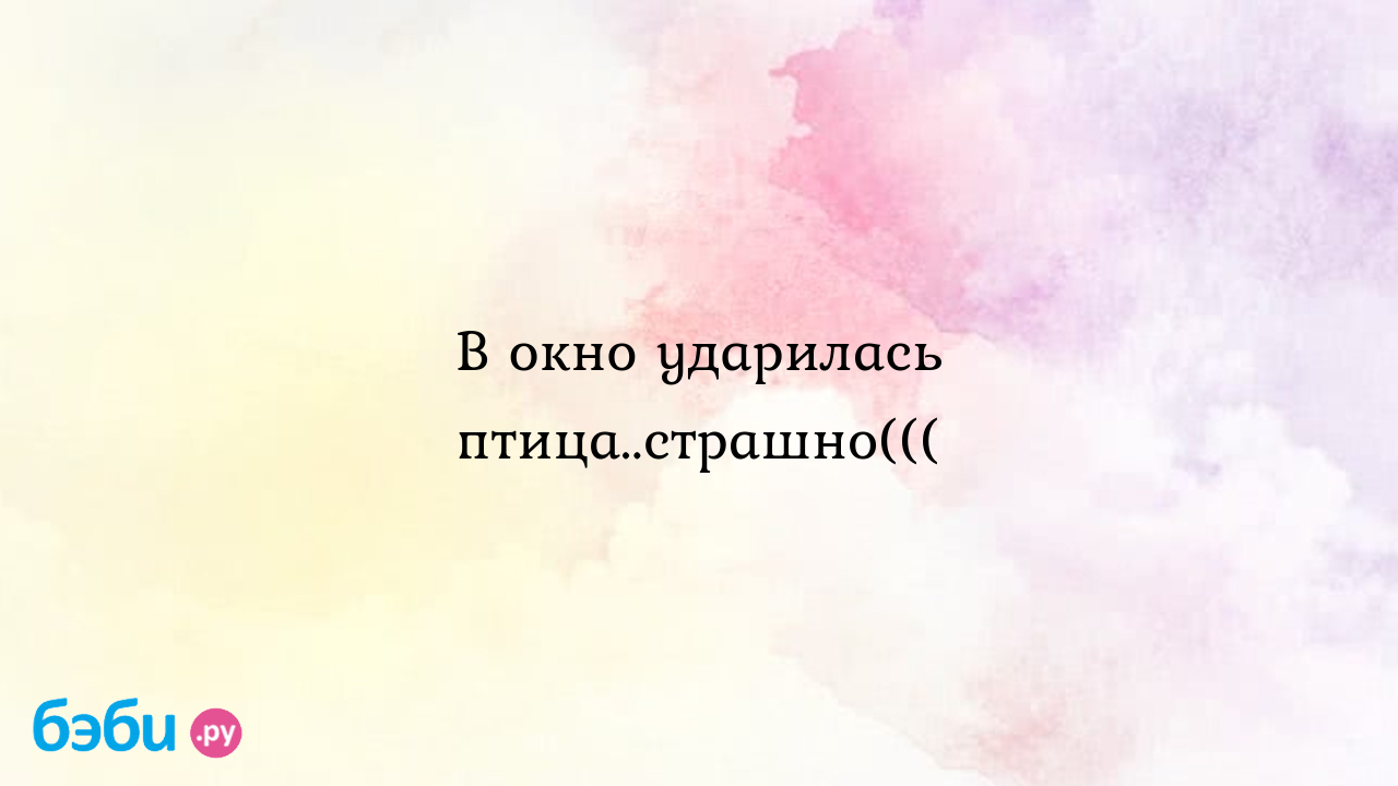 В окно ударилась птица..страшно(((