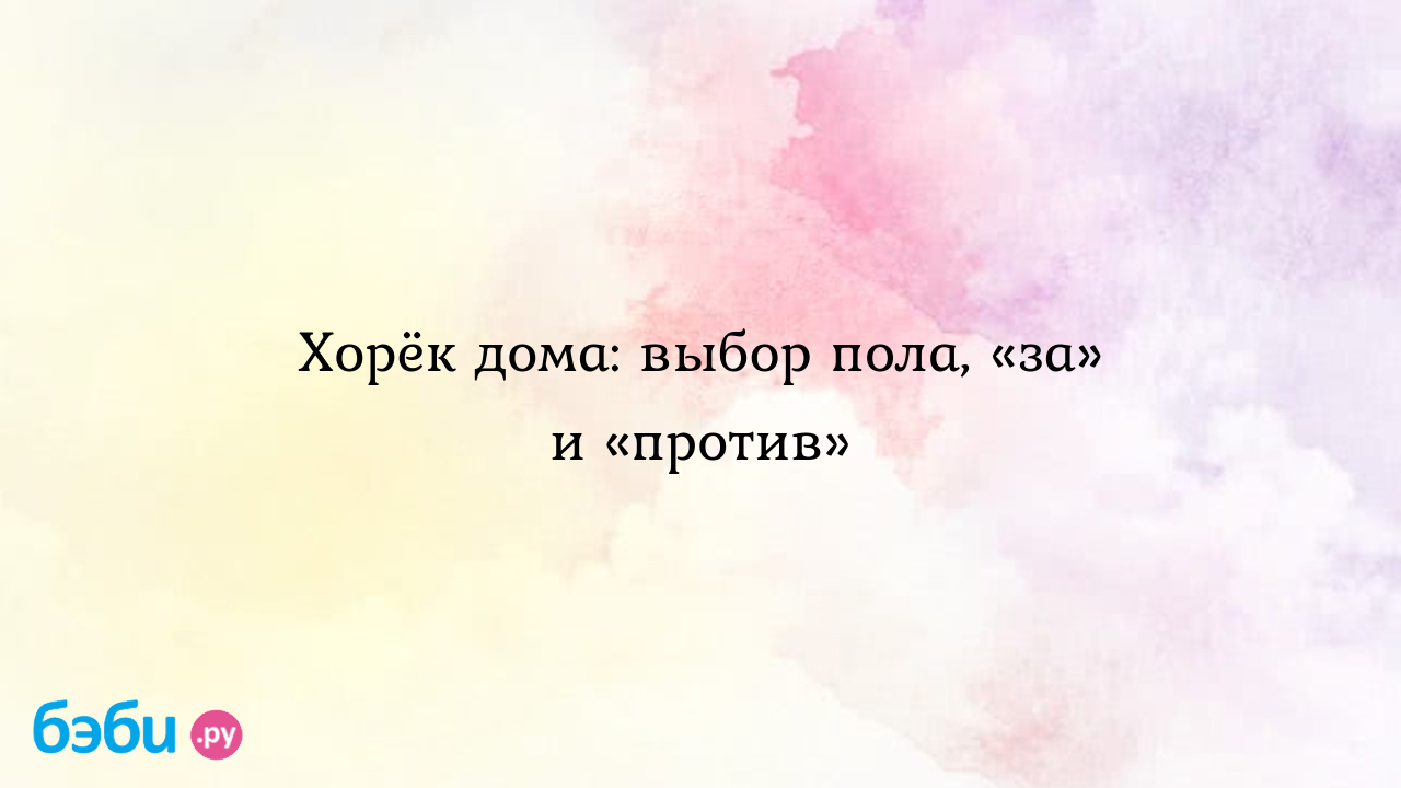 Хорёк дома: выбор пола, «за» и «против»