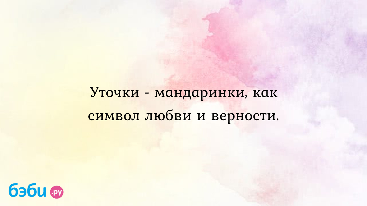 Уточки мандаринки, как символ любви и верности., поздрвления с символом утка  утки мандаринки