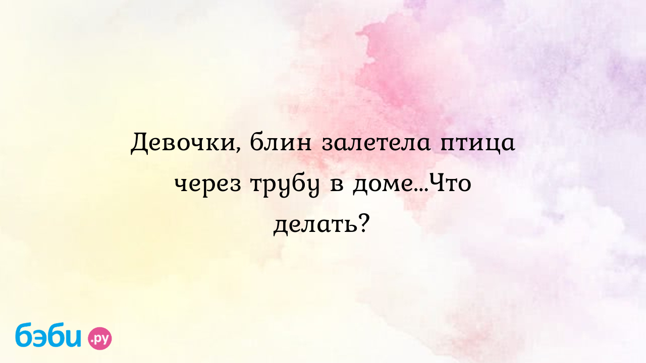 Девочки, блин залетела птица через трубу в доме...Что делать? | Метки:  примета, примета