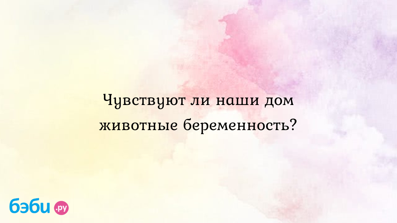 Чувствуют ли наши дом животные беременность?, чувствуют ли коты беременность  хозяйки | Метки: кошка, они, любить