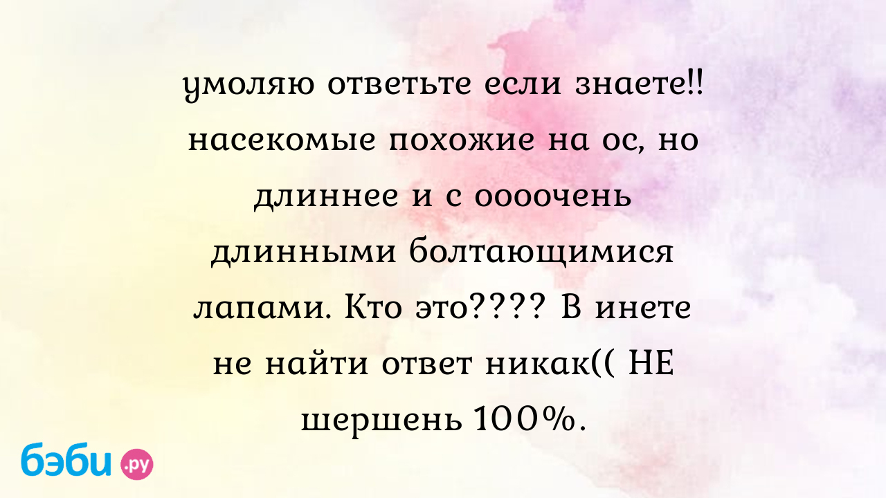 Умоляю ответьте если знаете!! насекомые похожие на ос, но длиннее и с  оооочень длинными болтающимися лапами. Кто это???? В инете не найти ответ  никак(( НЕ шершень 100%. - Λυзα