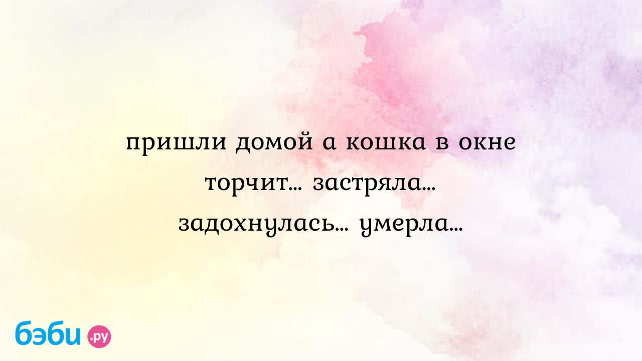 Пришли домой а кошка в окне торчит… застряла… задохнулась… умерла…, кошка  застряла в окне