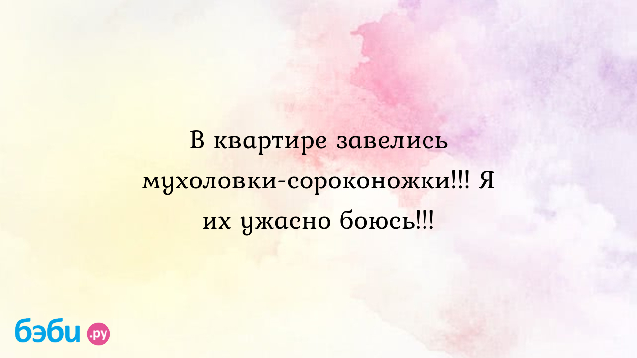 В квартире завелись мухоловки сороконожки... я их ужасно боюсь..., в доме  завелись сороконожки многоножки в квартире