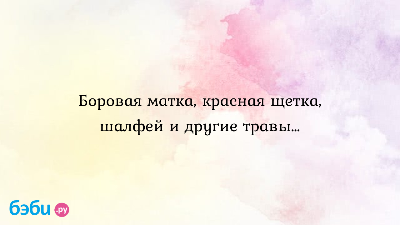 Боровая матка, красная щетка, шалфей и другие травы…, красная щетка трава  отзывы лечение эндометриоза боровой маткой и красной щеткой отзывы | Метки:  эндометриозе, врач