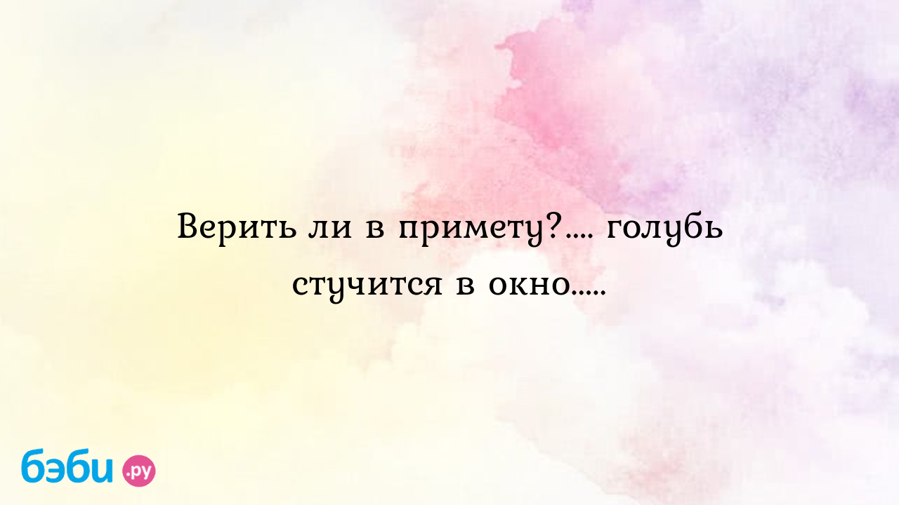 Верить ли в примету?.... голубь стучится в окно..... - Ольга