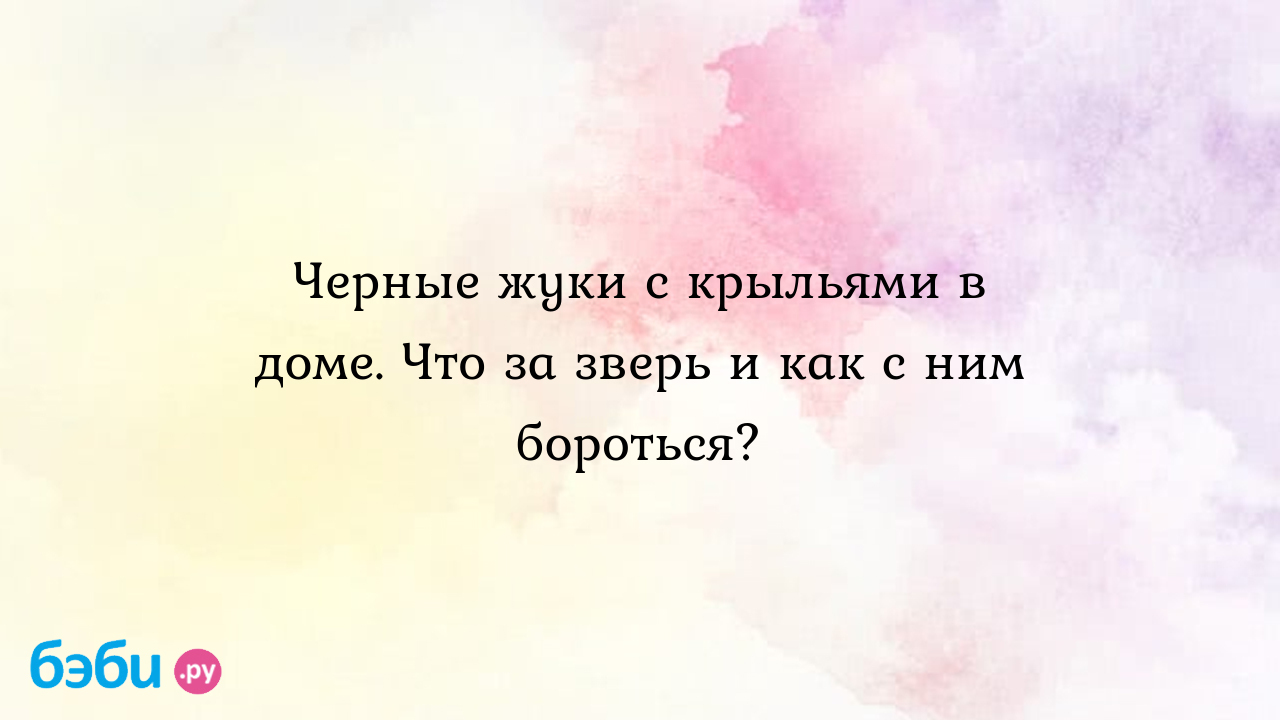 Черные жуки с крыльями в доме. Что за зверь и как с ним бороться? | Метки:  ночь