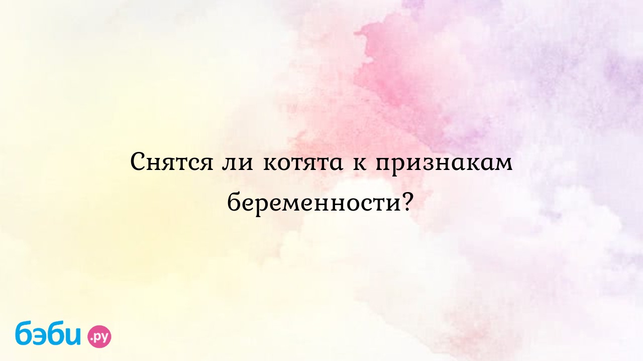 Снятся ли котята к признакам беременности? - Хочу ребенка