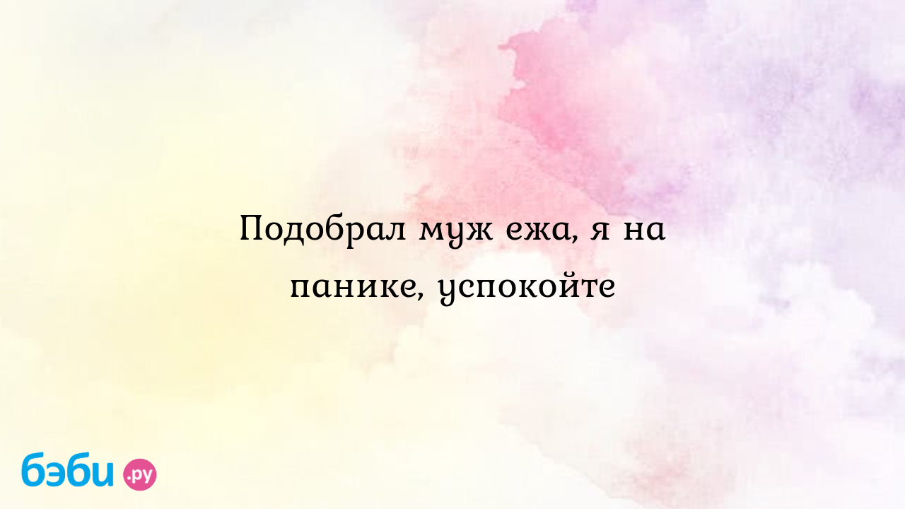 Подобрал муж ежа, я на панике, успокойте